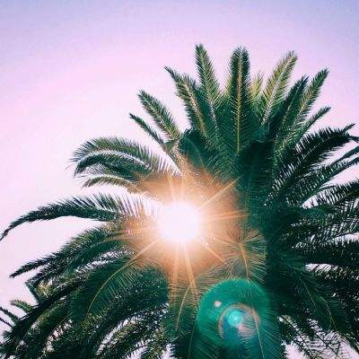 金年汇app官方网截图