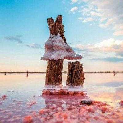 国内最大竞彩跟单APP