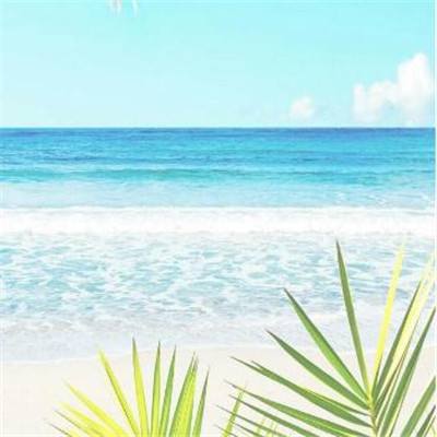 博鱼半岛在线登录