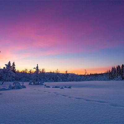 云开·全站APP登录入口