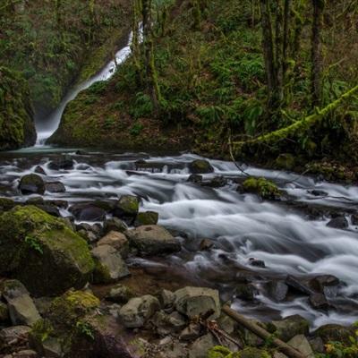 金沙乐娱场·官方网站
