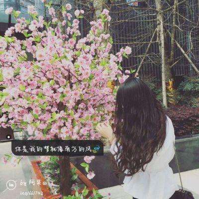 澳门正版资料大全